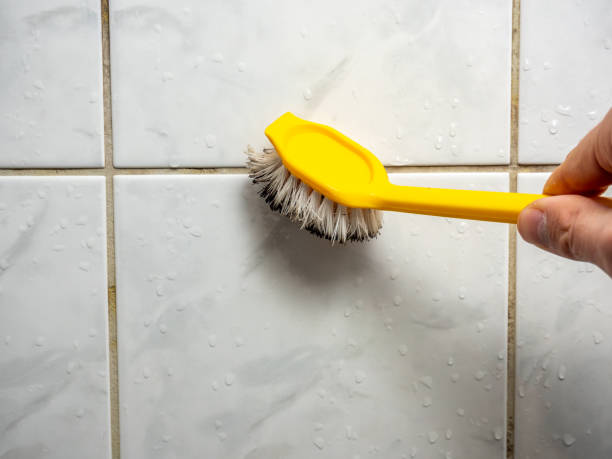 Best Residential Mold Remediation in Kodi Station, AK